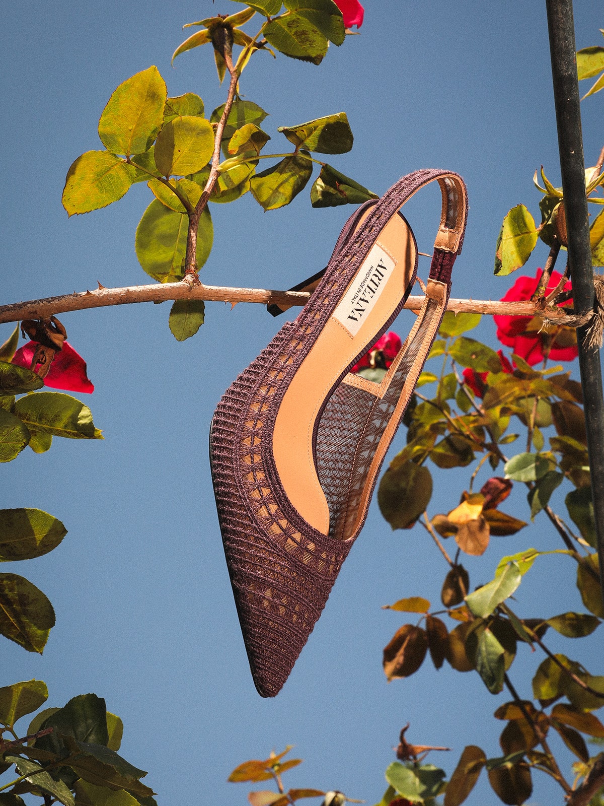 TRIESTE 75 SLINGBACK AUBERGINE